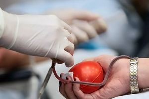 Льготы донорам крови